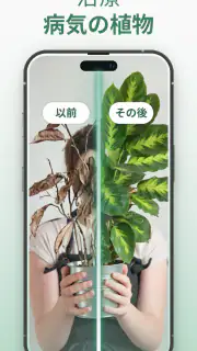 Plantify : 植物 識別 ケア, 花図鑑 screenshot 5