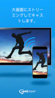 RealPlayer screenshot 2