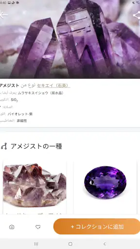 Rock Identifier - 写真を撮り、岩を特定する screenshot