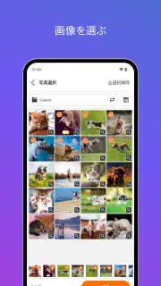 SELPHY Photo Layout screenshot 3