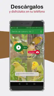 Sonidos de Canarios. Cantos. screenshot 3