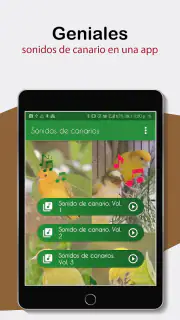 Sonidos de Canarios. Cantos. screenshot 6