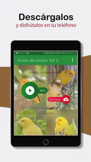 Sonidos de Canarios. Cantos. screenshot 8