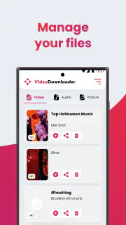 SSSTIK Video Downloader Lite screenshot 4