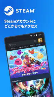 Steam screenshot 1