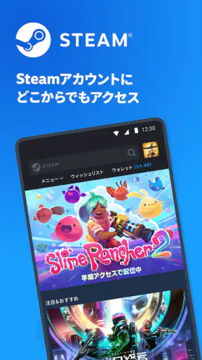 Steam screenshot