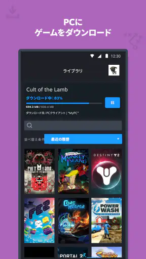 Steam screenshot