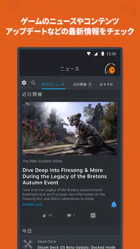 Steam screenshot
