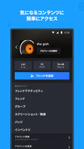 Steam screenshot