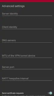 strongSwan VPN Client screenshot 4