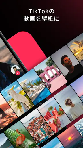 TikTok ダイナミック壁紙 screenshot
