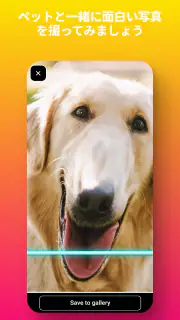TIME WARP SCAN - 写真とビデオフィルター screenshot 4