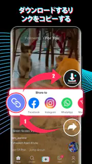TTの動画保存アプリ(TDownloader)，id なし screenshot 2
