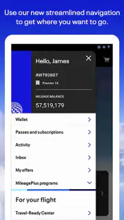 United Airlines screenshot 3
