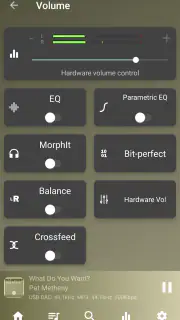 USB Audio Player PRO screenshot 7