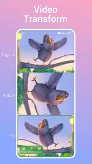 Video Live Wallpaper screenshot 5
