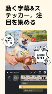 VivaVideo - 動画編集アプリ＆動画作成＆動画加工 screenshot 3