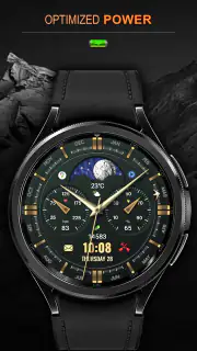 WFP 309 Elegant watch face screenshot 6