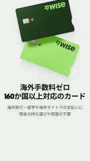 Wise screenshot 8