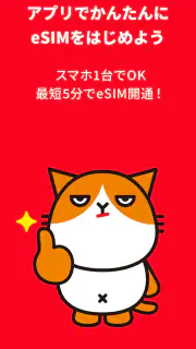Y!mobile eSIMかんたん開通 screenshot 5