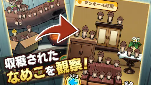 なめこ栽培キットDeluxe 極〜放置で育てる癒し育成ゲーム screenshot 6