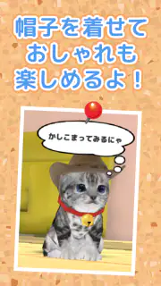 ねこ育成ゲーム - 子猫をのんびり育てる癒しの猫育成ゲーム screenshot 4