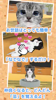ねこ育成ゲーム - 子猫をのんびり育てる癒しの猫育成ゲーム screenshot 7