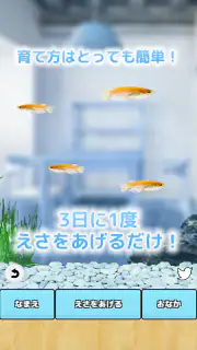 まったりメダカ育成ゲーム screenshot 2