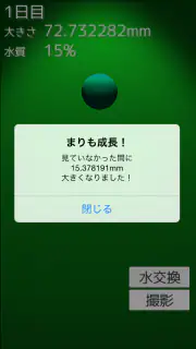 まりも育成ゲーム screenshot 6