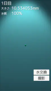 まりも育成ゲーム screenshot 7