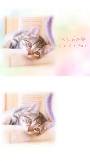 わたあめカメラ screenshot 2