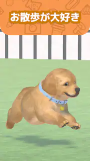 わんこと私 - 子犬のペット育成ゲーム screenshot 2