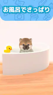 わんこと私 - 子犬のペット育成ゲーム screenshot 5