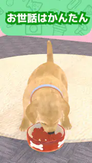 わんこと私 - 子犬のペット育成ゲーム screenshot 8