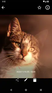 アルバム - 写真整理 screenshot 3