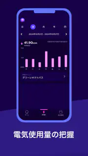 オクトパスエナジー screenshot 3