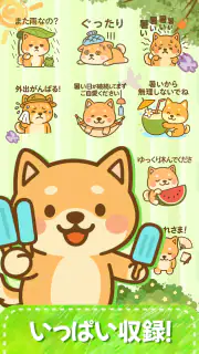 スタンプ・かわいい柴犬 screenshot 3