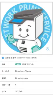 ネットワークプリント screenshot 3