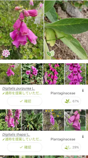 プラントネット (PlantNet) 植物図鑑アプリ screenshot