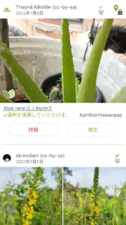 プラントネット (PlantNet) 植物図鑑アプリ screenshot 4