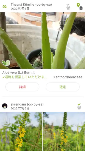 プラントネット (PlantNet) 植物図鑑アプリ screenshot