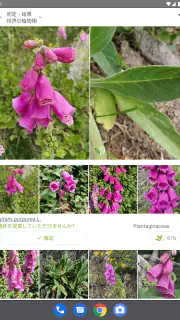 プラントネット (PlantNet) 植物図鑑アプリ screenshot 6