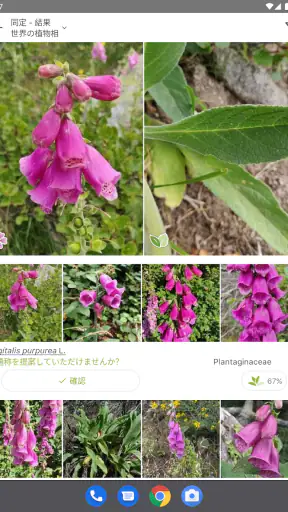 プラントネット (PlantNet) 植物図鑑アプリ screenshot