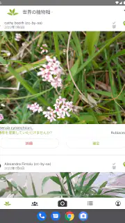 プラントネット (PlantNet) 植物図鑑アプリ screenshot 8