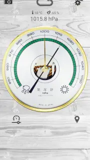 プロフェッショナルな気圧計 screenshot 1