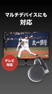 ベースボールLIVE screenshot 3