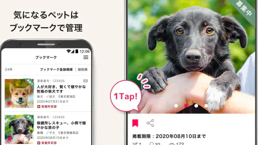 ペットのおうち screenshot 7