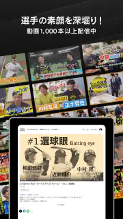 ホークスTV screenshot 7