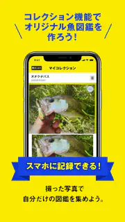 マイAI-AIが魚を判定する魚図鑑 screenshot 5
