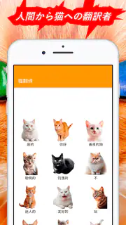 人猫語翻訳機 screenshot 3